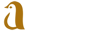 The Aorawa Story: Where Time Meets Light